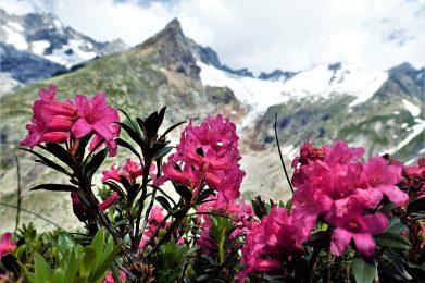 Tour du Mont Blanc/fot. A.Sawicka