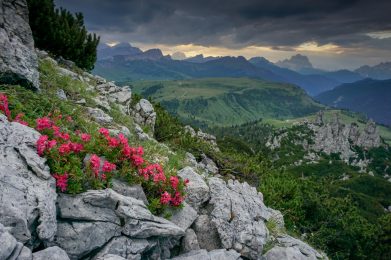 Trekking w Dolomitach